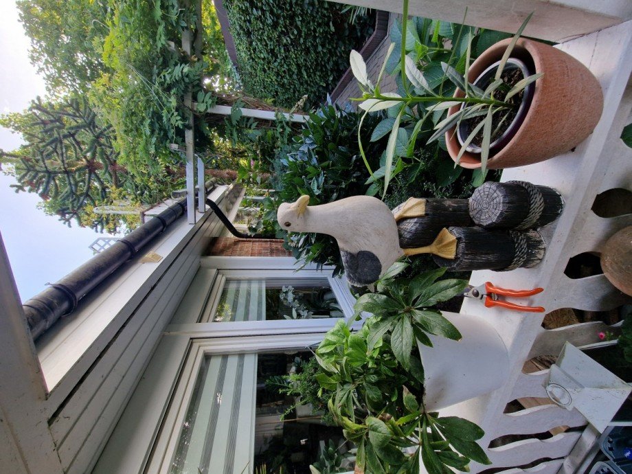 Hallo, ich warte auf Euch! Einfamilienhaus K�hlungsborn