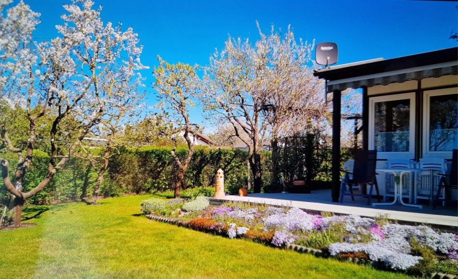 Garten im Fr�hling Bungalow Am Salzhaff