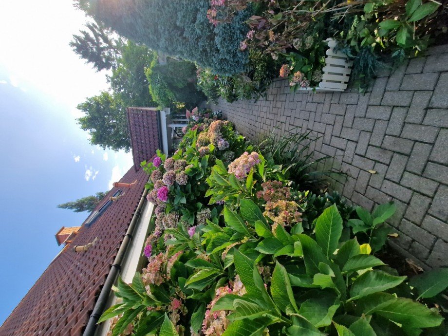 Zuwegung.. Einfamilienhaus K�hlungsborn