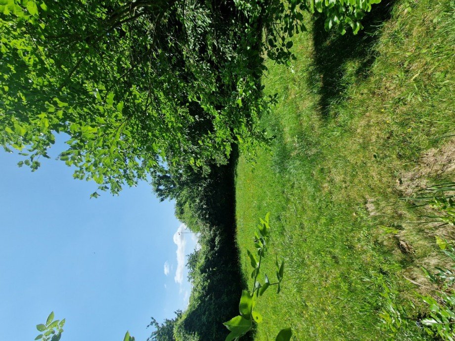 Garten Bungalow Wismar
