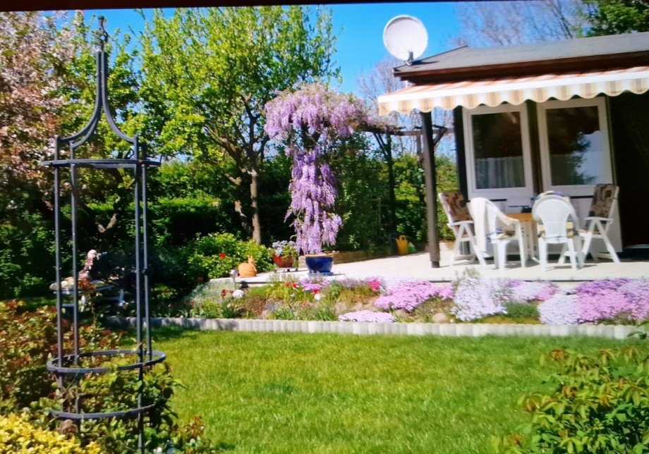 Ansicht mit Terrasse im Fr�hling Bungalow Am Salzhaff