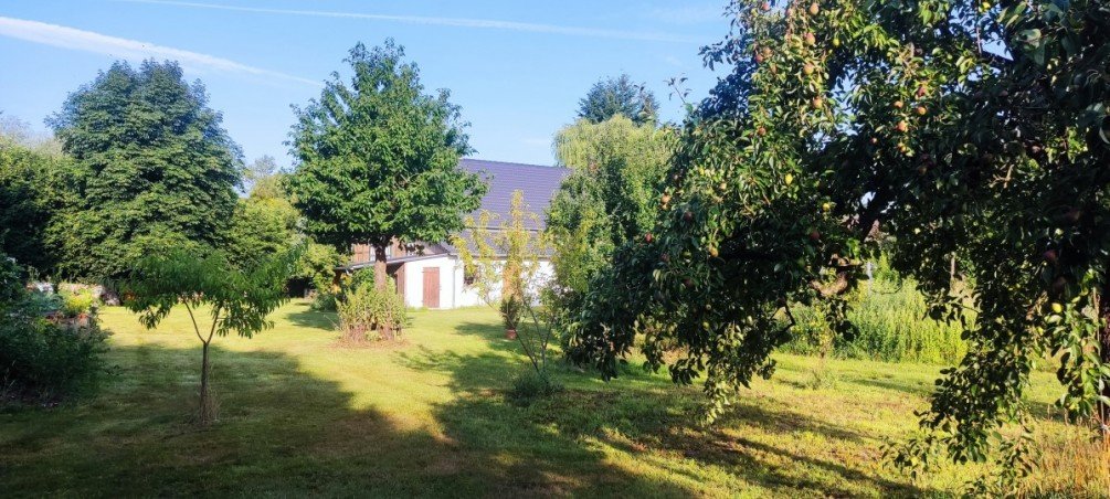 Garten Einfamilienhaus Dambeck