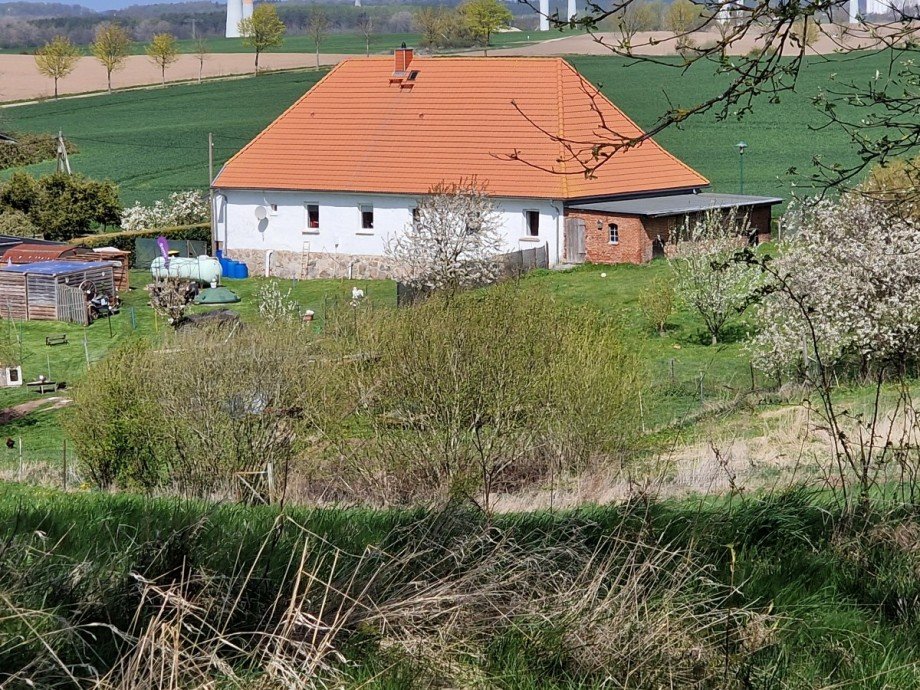 Hofseite Einfamilienhaus Carinerland