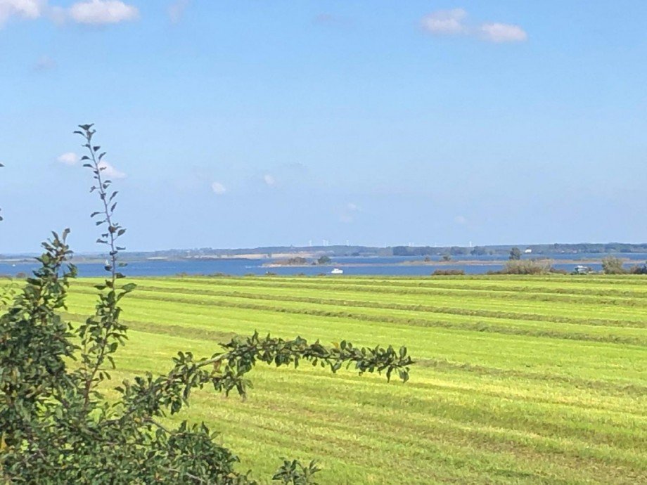 Aussicht Einfamilienhaus Zierow