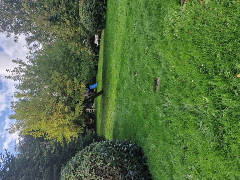 Garten Westerhorn Einfamilienhaus gepflegtes Eigenheim - breit f�r den neuen Eigent�mer