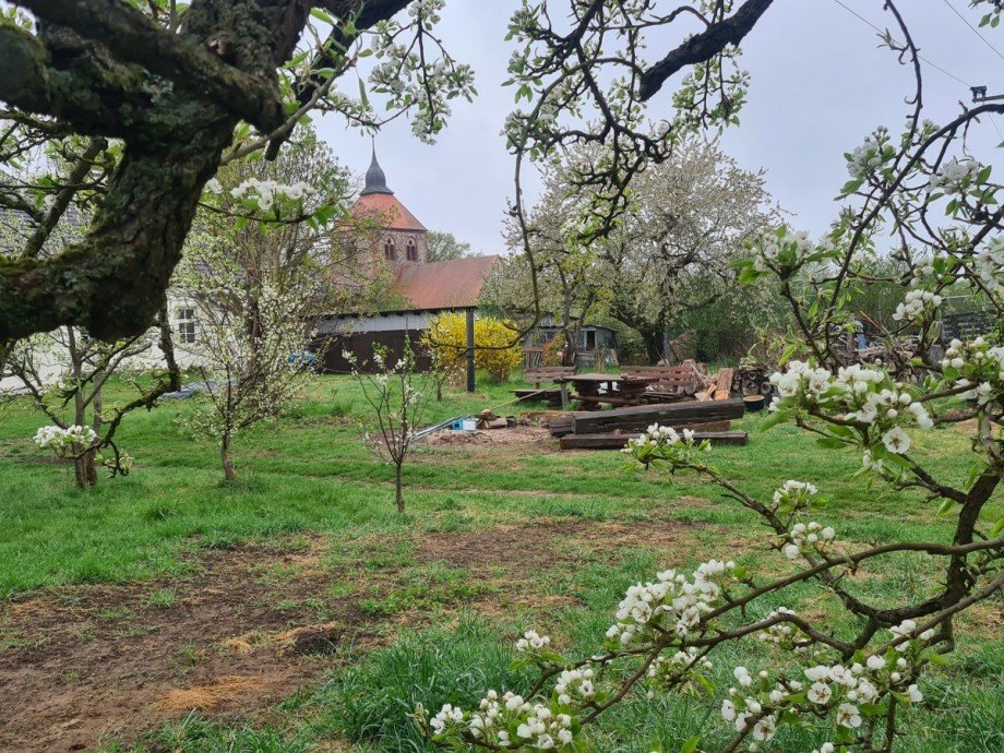 Garten Einfamilienhaus Dambeck