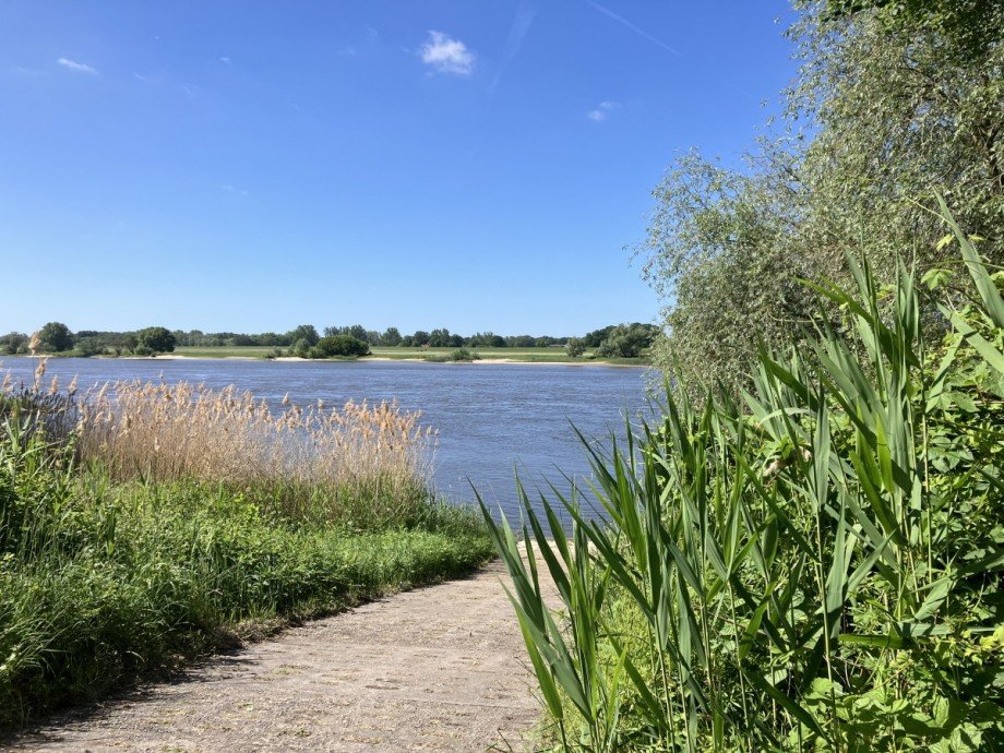 Elbe Einfamilienhaus D�mitz